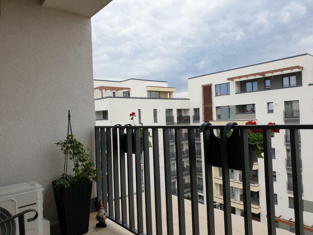 Mei Brasov Luaran gambar