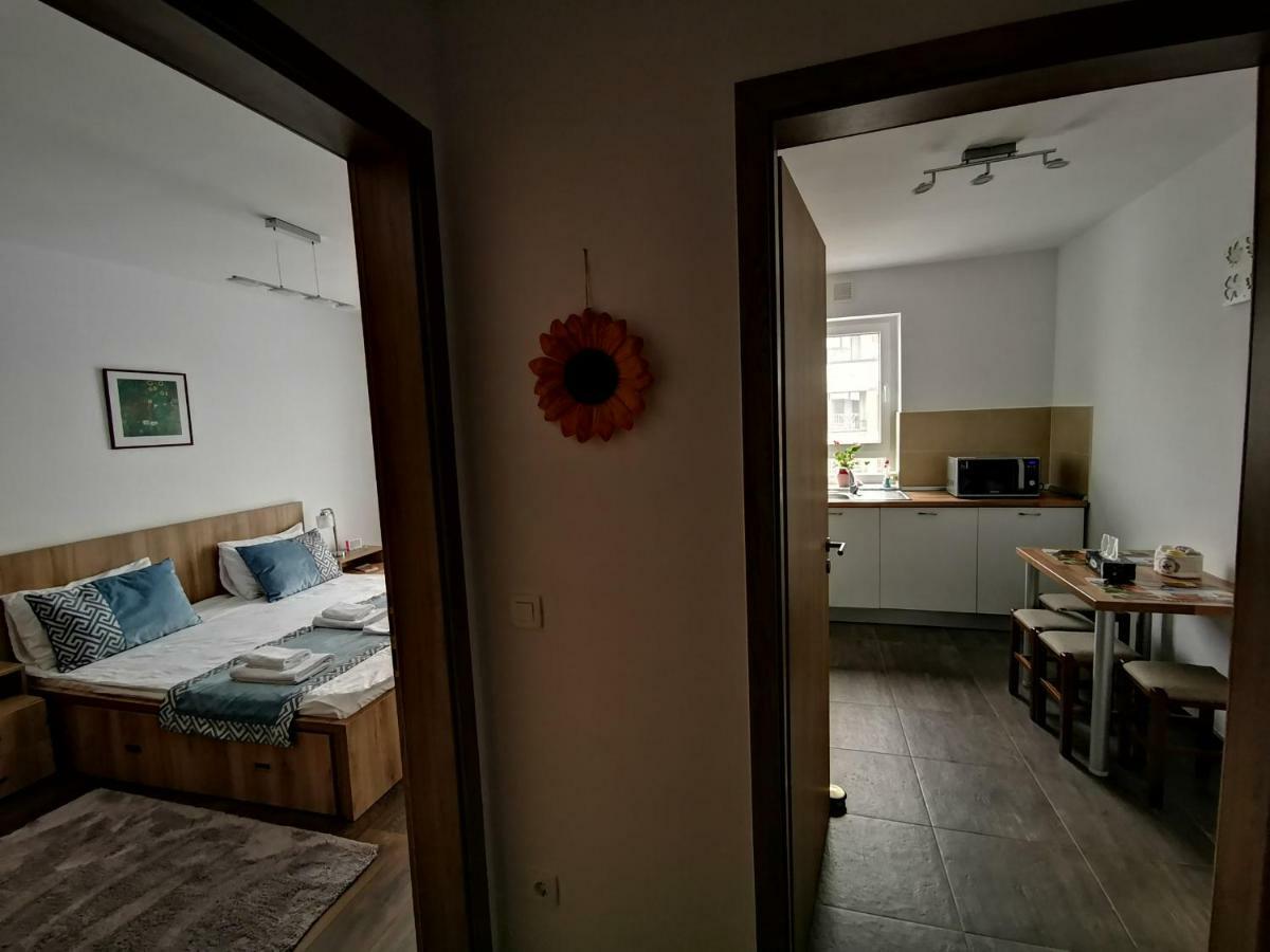 Mei Brasov Luaran gambar