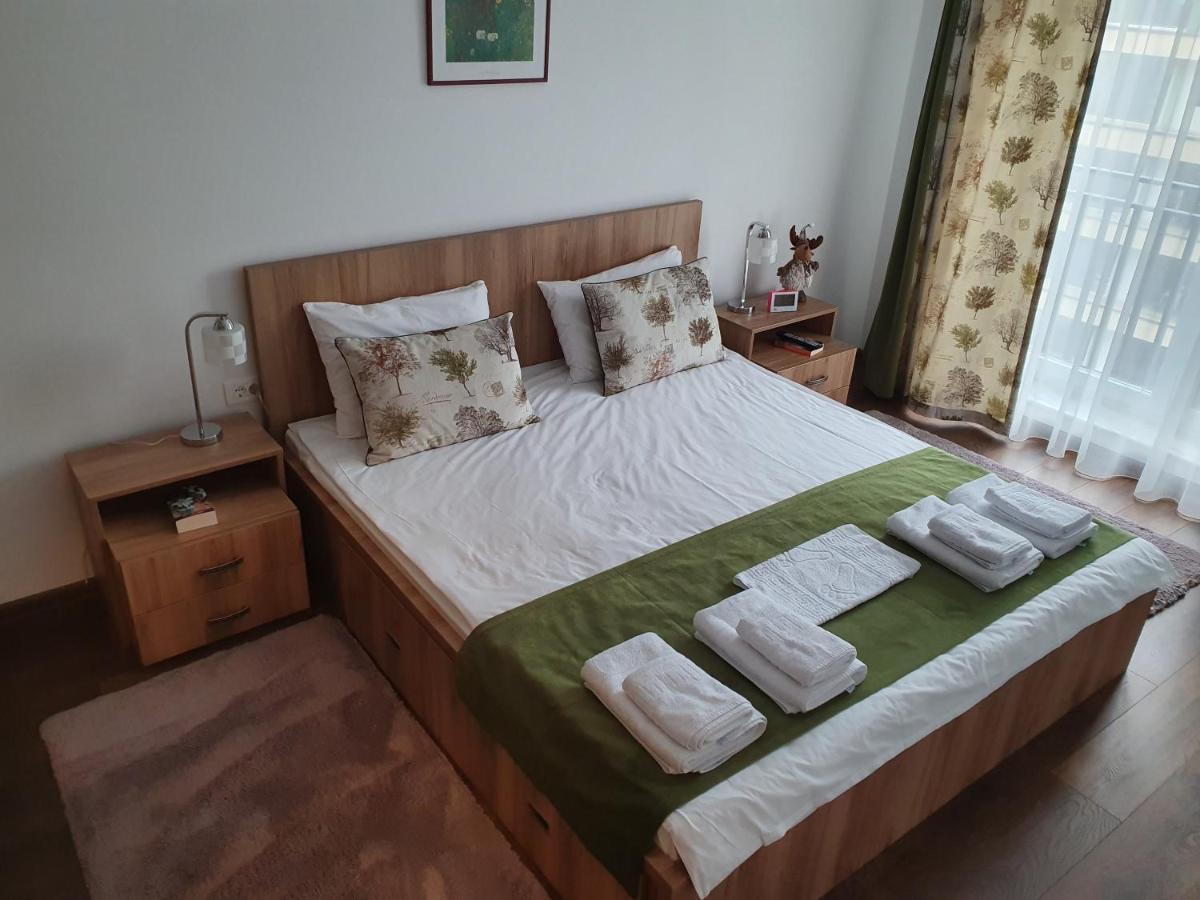 Mei Brasov Luaran gambar